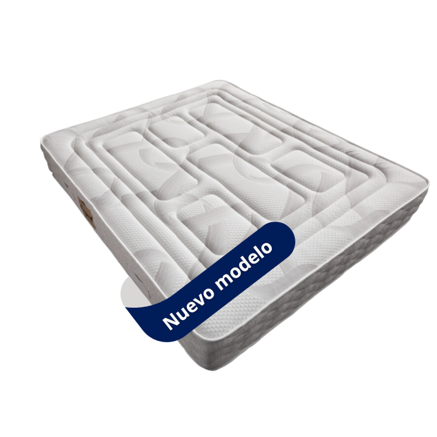 ASPOL | MODELO MIND | Coddes